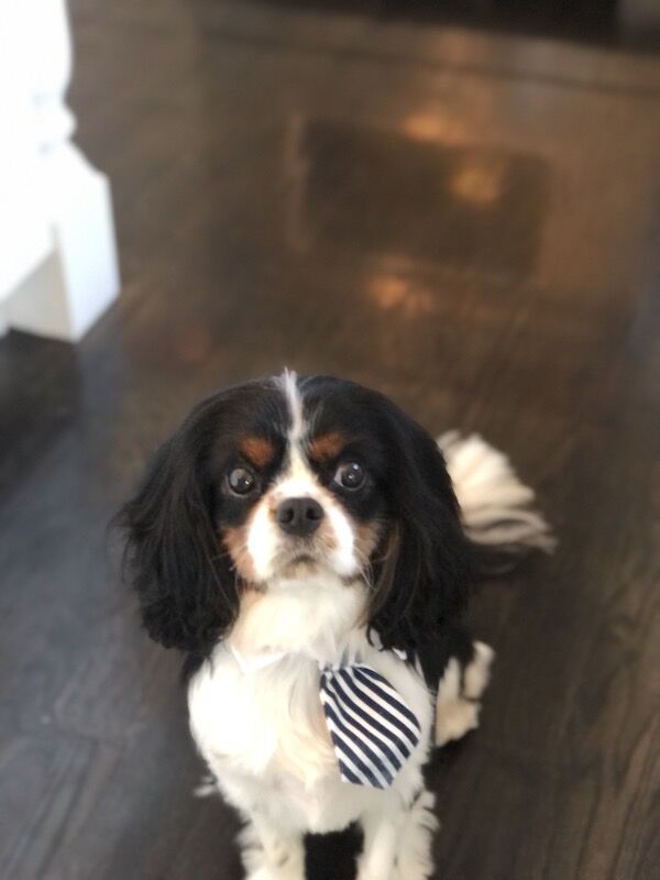 Gus